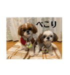 めいつく姉妹（個別スタンプ：22）