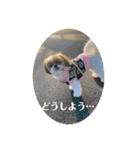 めいつく姉妹（個別スタンプ：23）
