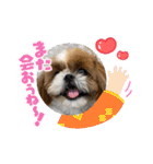 めいつく姉妹（個別スタンプ：35）
