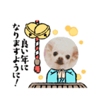 近藤家2021（個別スタンプ：4）