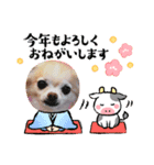近藤家2021（個別スタンプ：6）