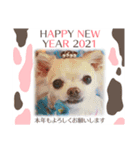 近藤家2021（個別スタンプ：7）