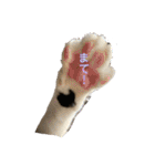 ねこといぬのすたんぷ。。（個別スタンプ：3）