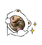 ねこといぬのすたんぷ。。（個別スタンプ：8）