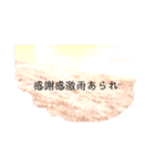 見ると目が痛くなるスタンプ（個別スタンプ：21）