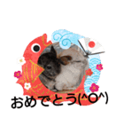 我が家のプリティーエンジェル（個別スタンプ：11）