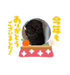 我が家のプリティーエンジェル（個別スタンプ：13）