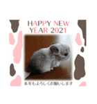 我が家のプリティーエンジェル（個別スタンプ：14）