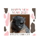 我が家のプリティーエンジェル（個別スタンプ：15）