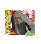 我が家のプリティーエンジェル（個別スタンプ：17）