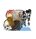 我が家のプリティーエンジェル（個別スタンプ：18）