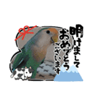 我が家のプリティーエンジェル（個別スタンプ：19）