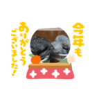 我が家のプリティーエンジェル（個別スタンプ：21）