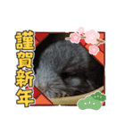 我が家のプリティーエンジェル（個別スタンプ：22）