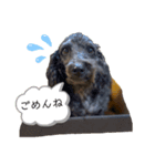 大好きな愛犬たち（個別スタンプ：6）