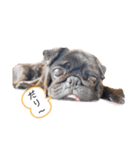 大好きな愛犬たち（個別スタンプ：8）