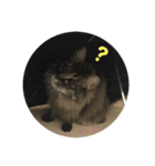 つむねこ。（個別スタンプ：10）