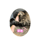 つむねこ。（個別スタンプ：18）