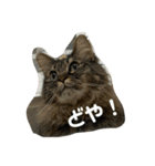 つむねこ。（個別スタンプ：19）