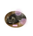 つむねこ。（個別スタンプ：21）