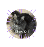 つむねこ。（個別スタンプ：23）