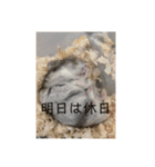 はむさんど！（個別スタンプ：2）