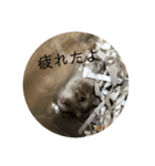 はむさんど！（個別スタンプ：4）