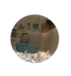 はむさんど！（個別スタンプ：9）