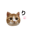 あきちゃんのスタンプデビュー（個別スタンプ：1）