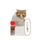 あきちゃんのスタンプデビュー（個別スタンプ：12）