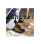 あきちゃんのスタンプデビュー（個別スタンプ：13）