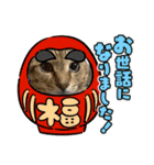 安岡家のペット④【特別編】（個別スタンプ：5）