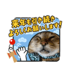 安岡家のペット④【特別編】（個別スタンプ：8）
