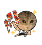 安岡家のペット④【特別編】（個別スタンプ：16）