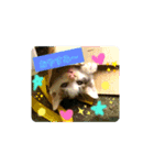 クローバー*（個別スタンプ：1）