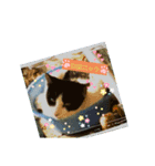 クローバー*（個別スタンプ：2）