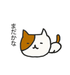 ゆるねこ猫丸（個別スタンプ：6）