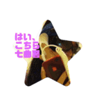 みか専用スタンプγ（個別スタンプ：2）