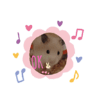 きんちゃん（キンター）（個別スタンプ：7）