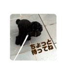 はっぴーもっぴーstamp❶（個別スタンプ：22）