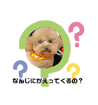 ちゃんちゃり（個別スタンプ：4）