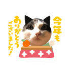 ムサまる水産3（個別スタンプ：9）