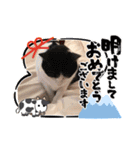 ムサまる水産3（個別スタンプ：12）
