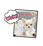 りおのあコロニー❤️2きゅん（個別スタンプ：1）
