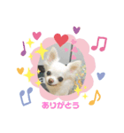 りおのあコロニー❤️2きゅん（個別スタンプ：2）