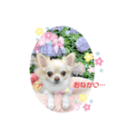 りおのあコロニー❤️2きゅん（個別スタンプ：3）