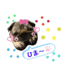 パグの楽の兄弟と暮らしの言葉（個別スタンプ：8）