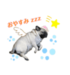 パグの楽の兄弟と暮らしの言葉（個別スタンプ：10）