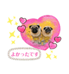 パグの楽の兄弟と暮らしの言葉（個別スタンプ：20）