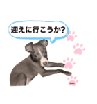 Tiamo@2（個別スタンプ：11）